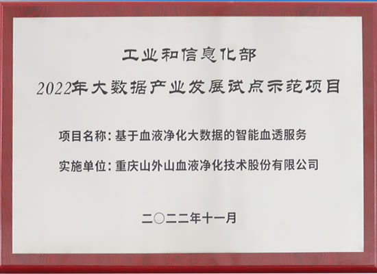 行業(yè)唯一！山外山公司入選“2022年大數(shù)據(jù)產(chǎn)業(yè)發(fā)展試點示范項目”